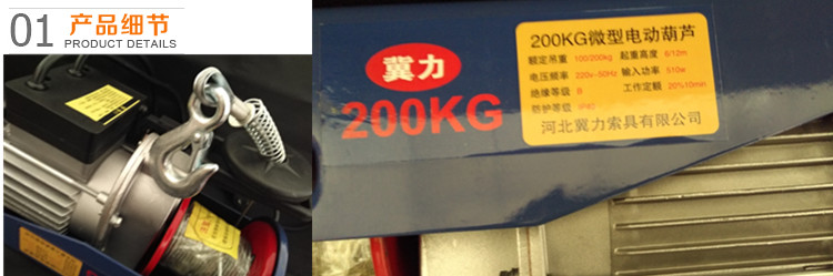 微型电动葫芦