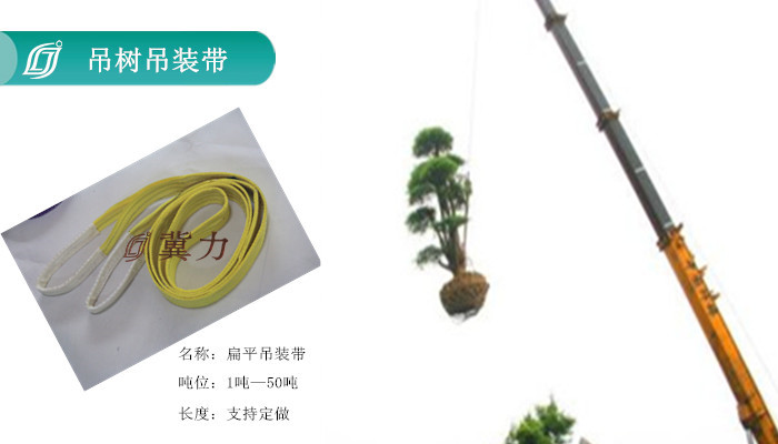 合成纤维吊装带